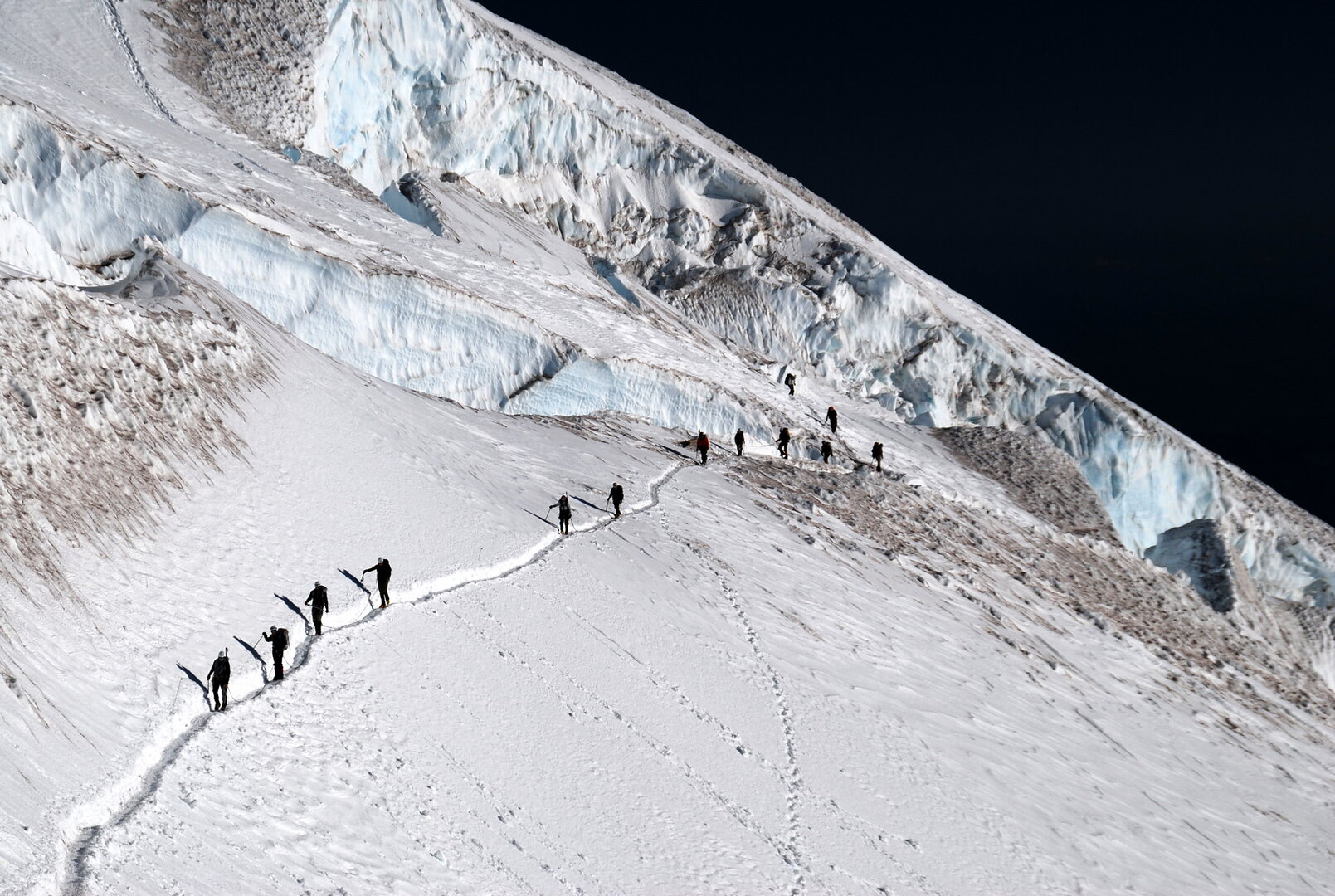 Private Mount Rainier Hiking Tour from Seattle